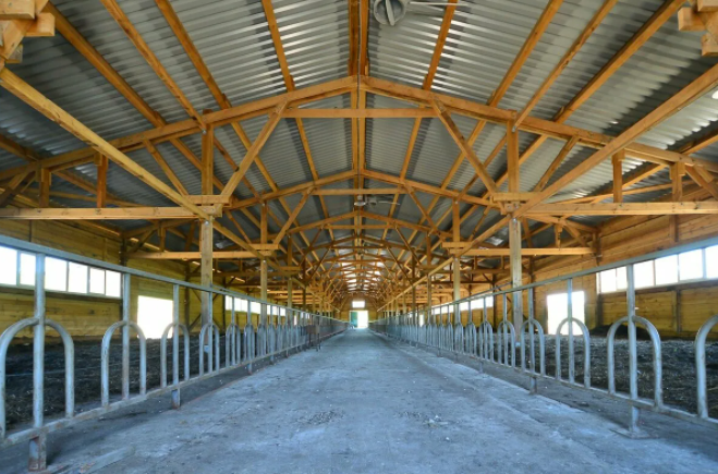 Puesto de vacas
