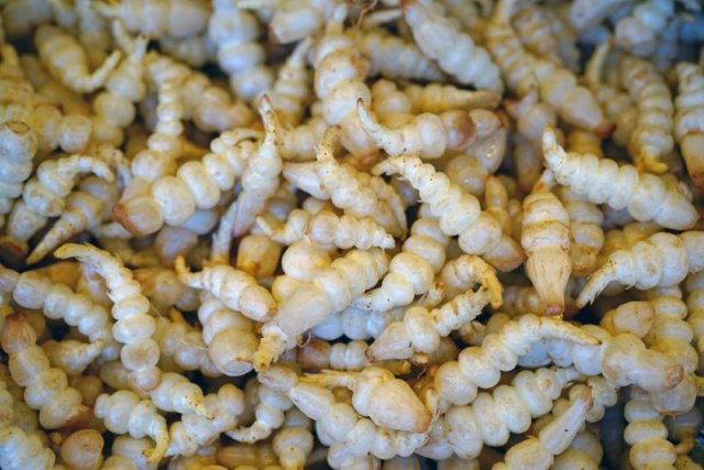 10 verduras poco convencionales para jardineros experimentales