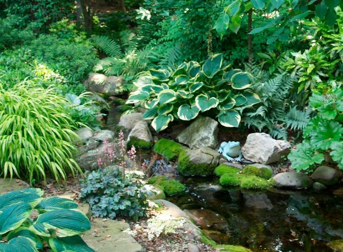 Plantas perennes que aman la sombra para el jardín.