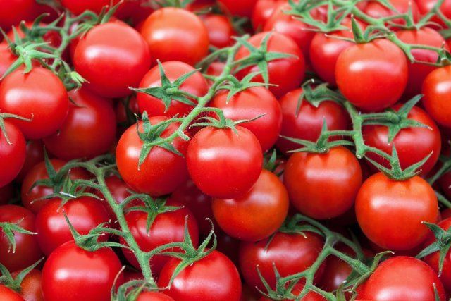 tomates