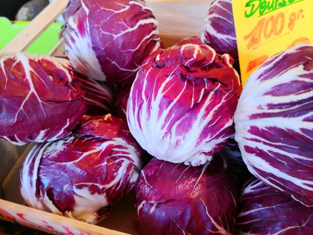 Achicoria roja, o radicchio