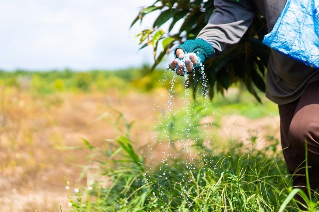 fertilizantes de fósforo