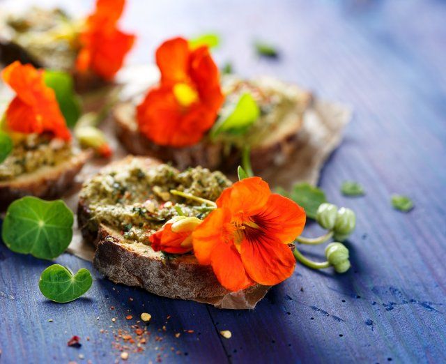 Jardín decorativo, o cómo cultivar flores y verduras en un mismo huerto