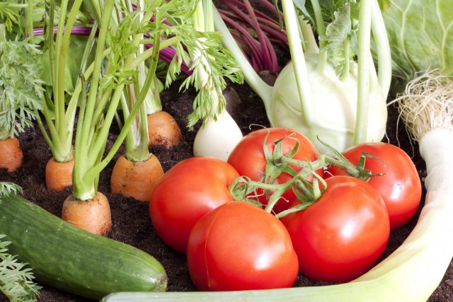 Predecesores de las zanahorias en el huerto.