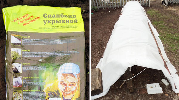 Sombreado de un jardín de rosas con spunbond