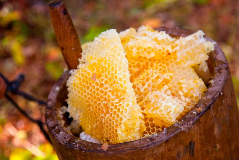 Miel de abeja silvestre