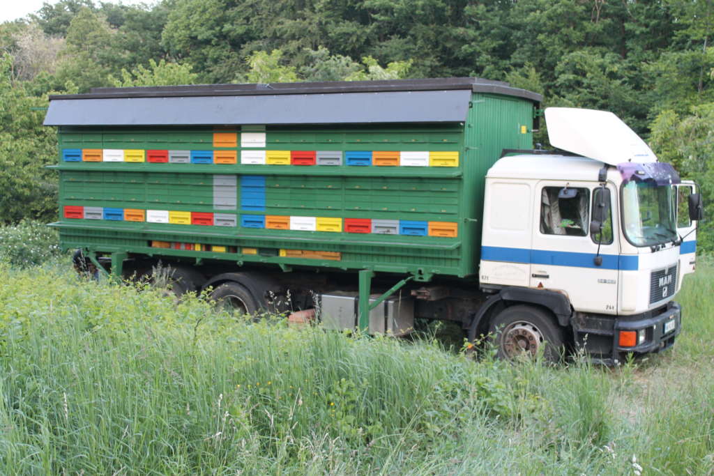 Transporte móvil de abejas