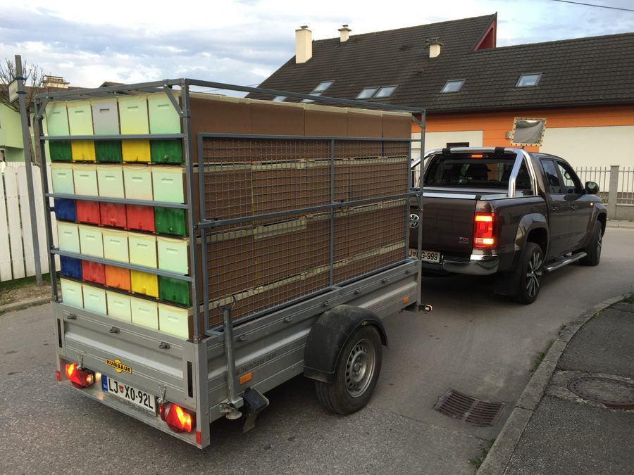 Transporte de colmenas
