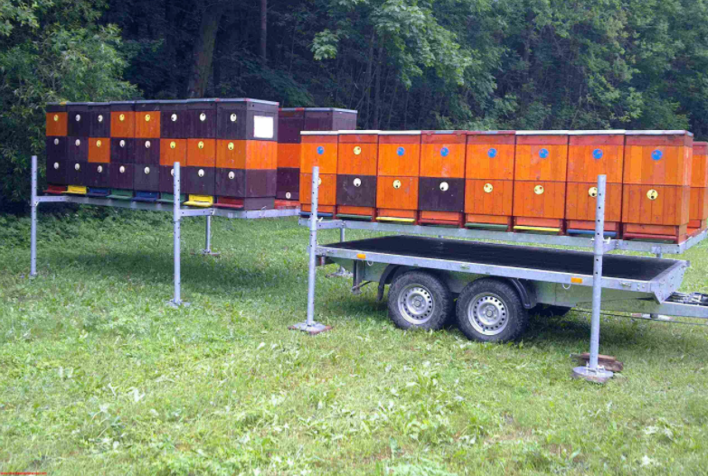 Transporte de colmenas