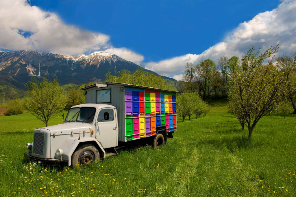 Transporte de colmenas