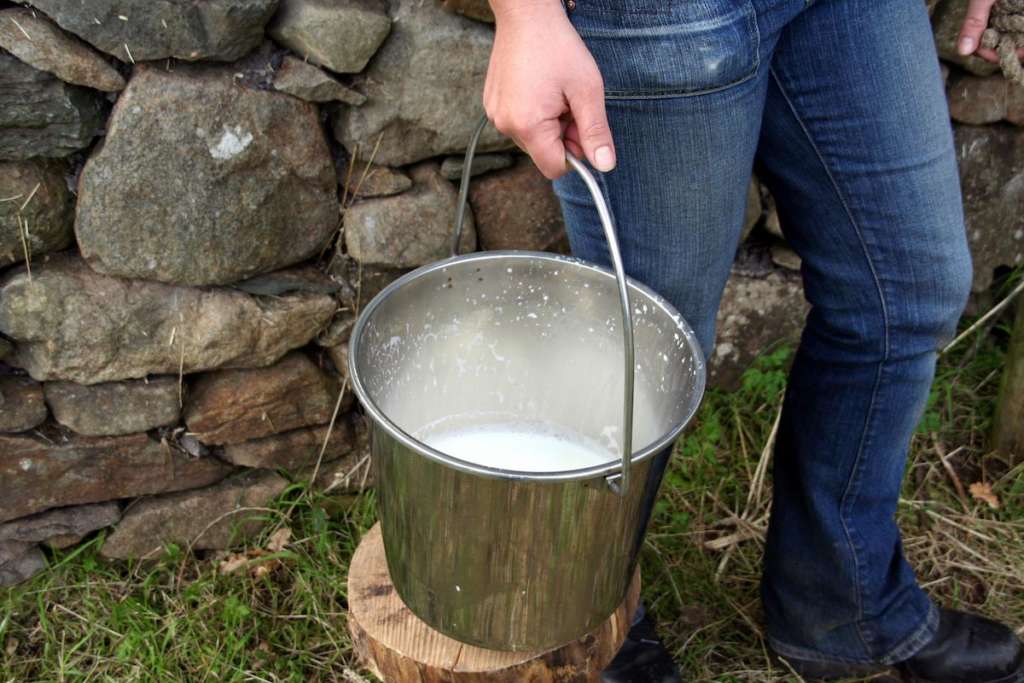 Leche vieja
