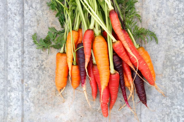 Zanahorias de diferentes colores