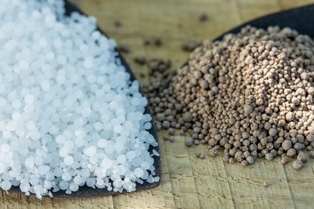 ¿Qué fertilizantes elegir para los pepinos?