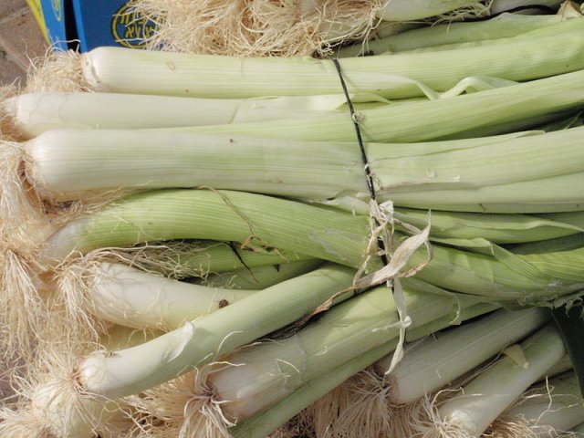 verduras que no temen a las heladas