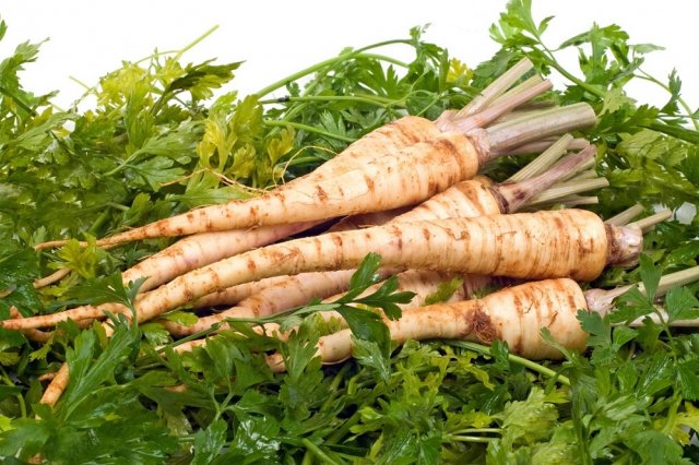 verduras que no temen al frío