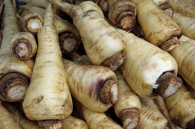 verduras que no temen al frío