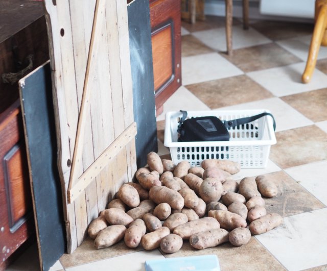 patatas en el apartamento