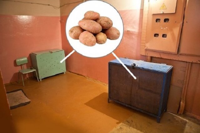 patatas en la entrada