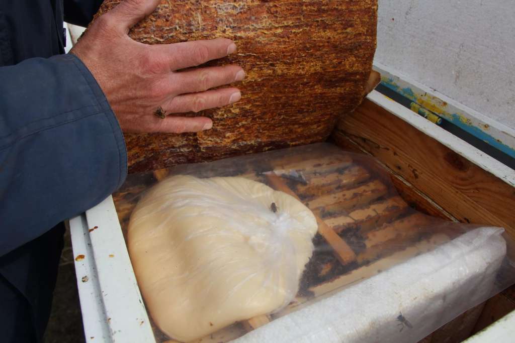 Comida dulce para abejas