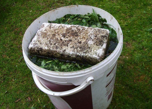 fertilizante de infusión de hierbas