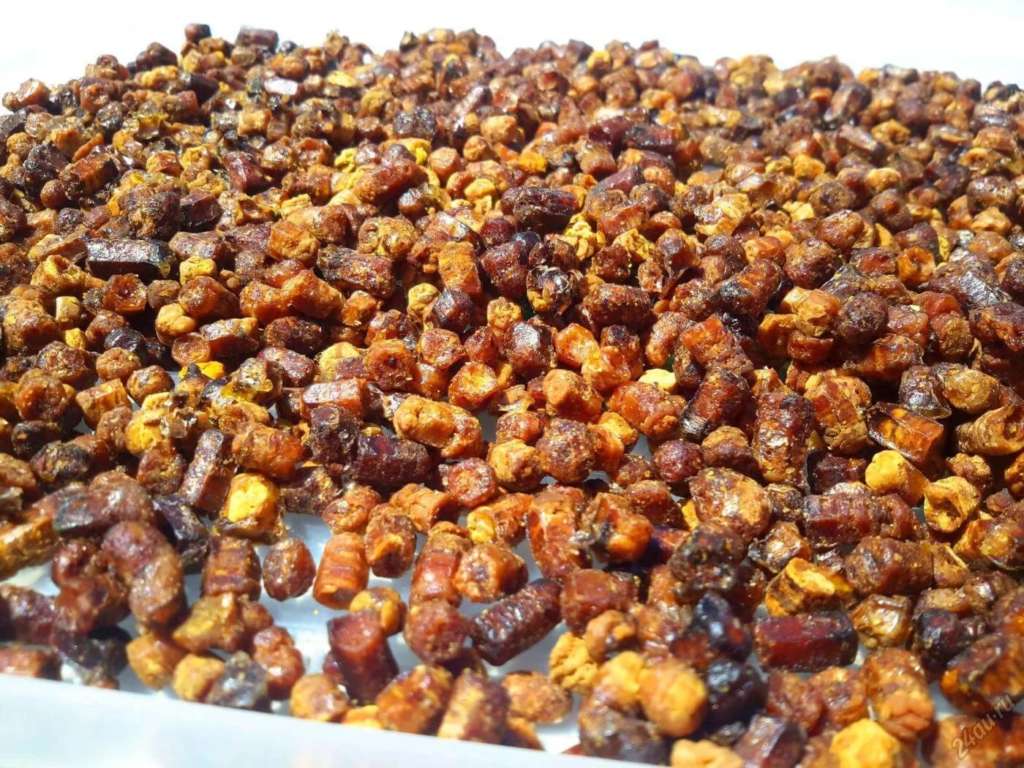 Pan de abeja