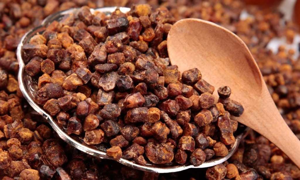 Pan de abeja