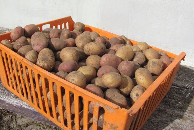 una caja de patatas