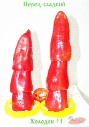Kholodok F1