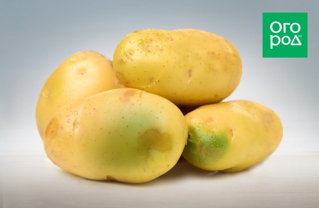 patatas verdes