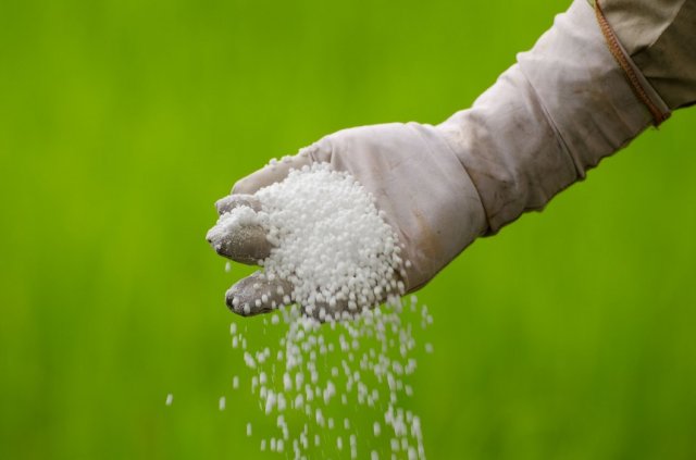 Fertilizantes