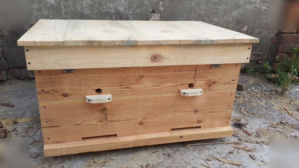 Cama solar Hive
