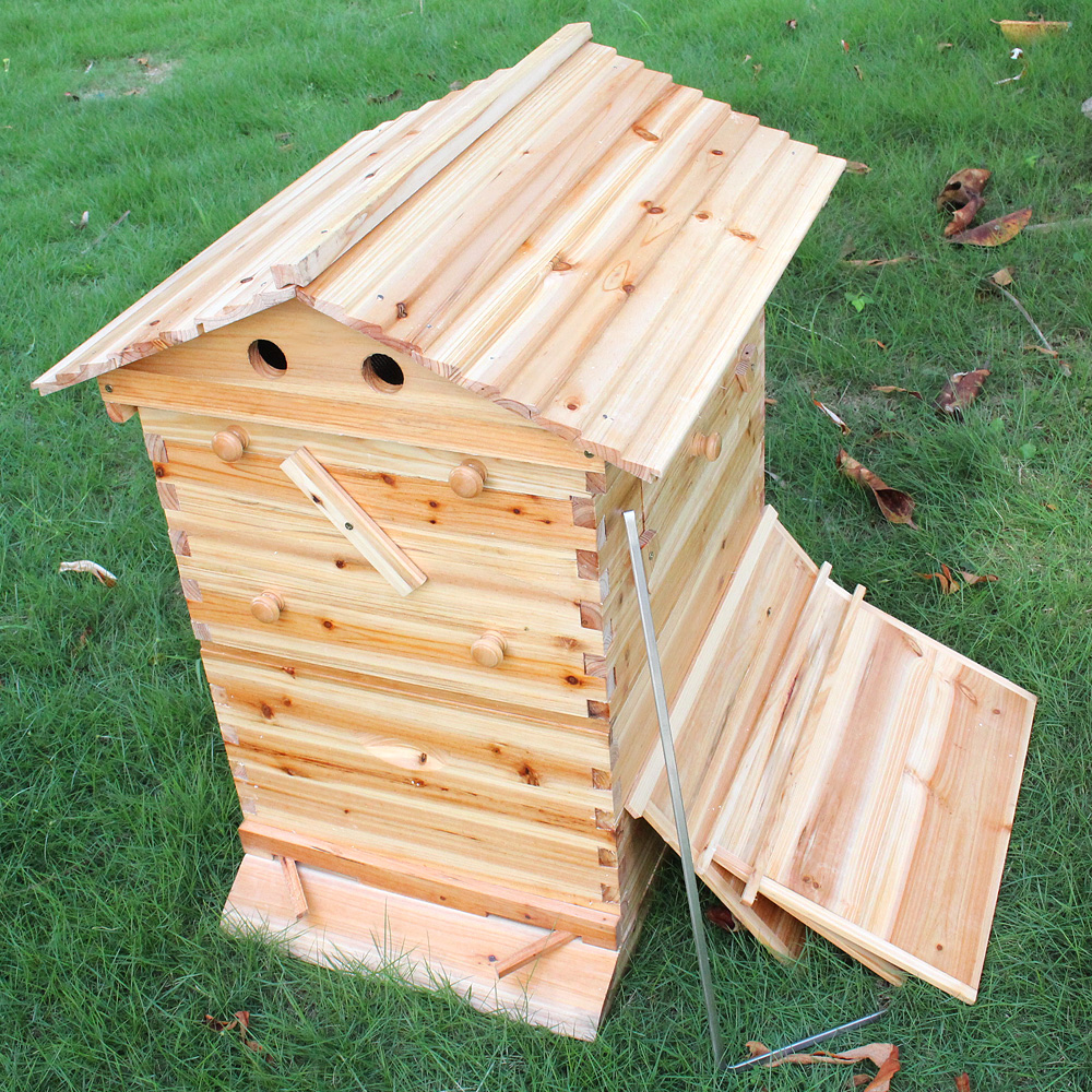 colmena de madera