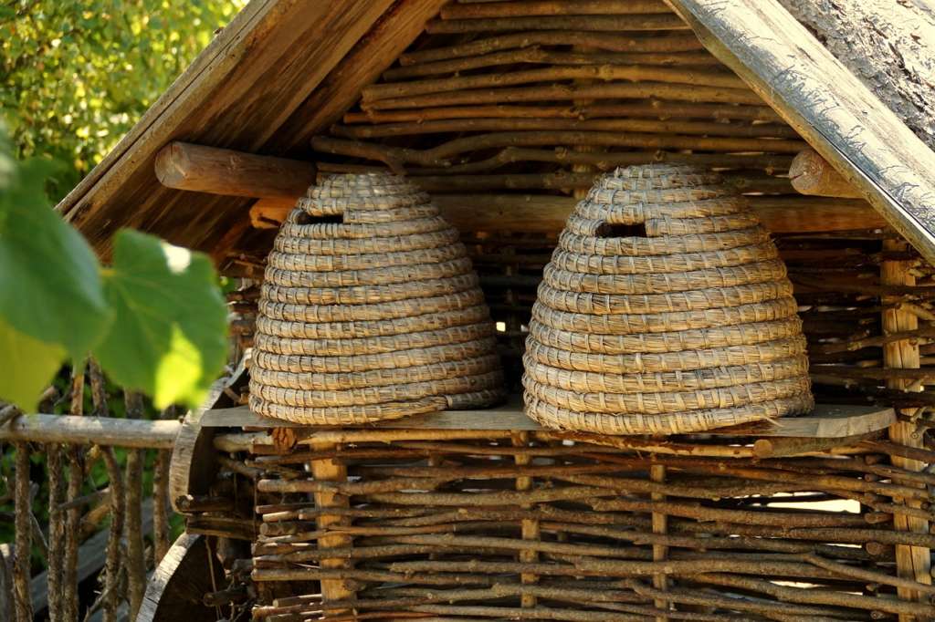 colmenas de abejas
