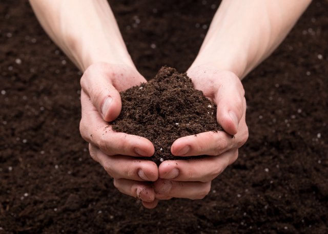 Tierra para plantar