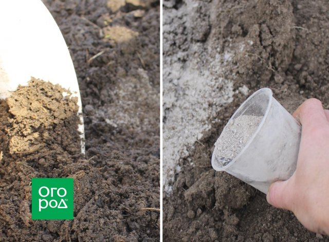 fertilizantes naturales