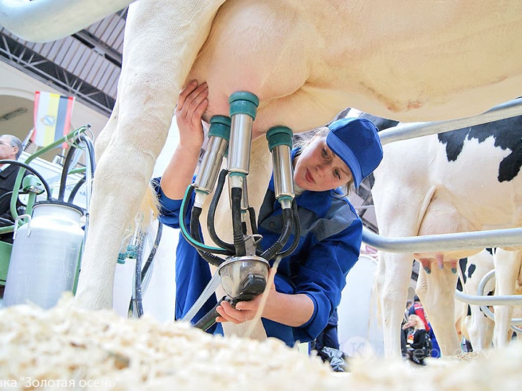 Diagnóstico de la mastitis