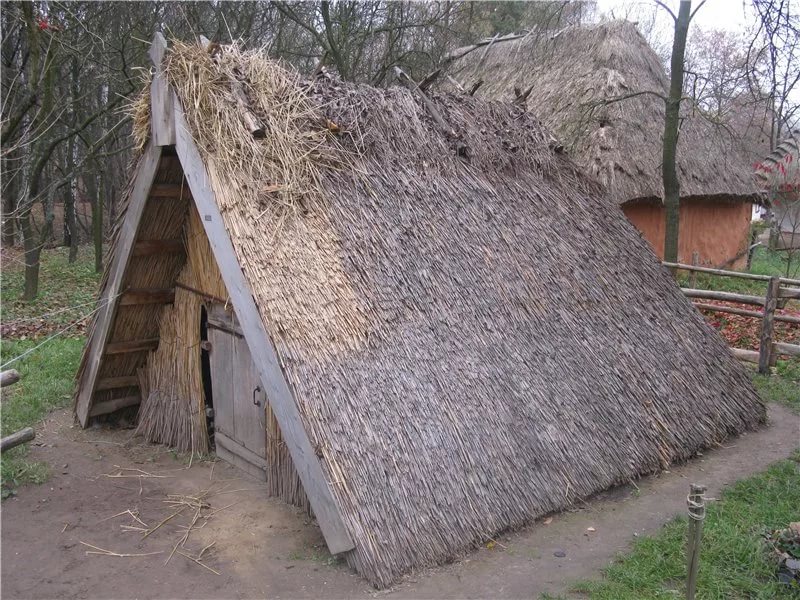 Cabaña de abejas invernantes