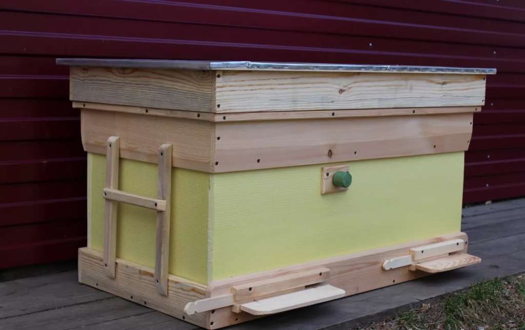 ¿Cómo preparar adecuadamente a las abejas para el invierno?