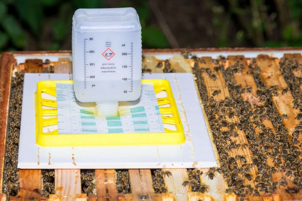 Tratamiento de abejas con ácido fórmico