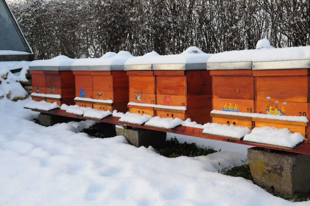 Urticaria en invierno