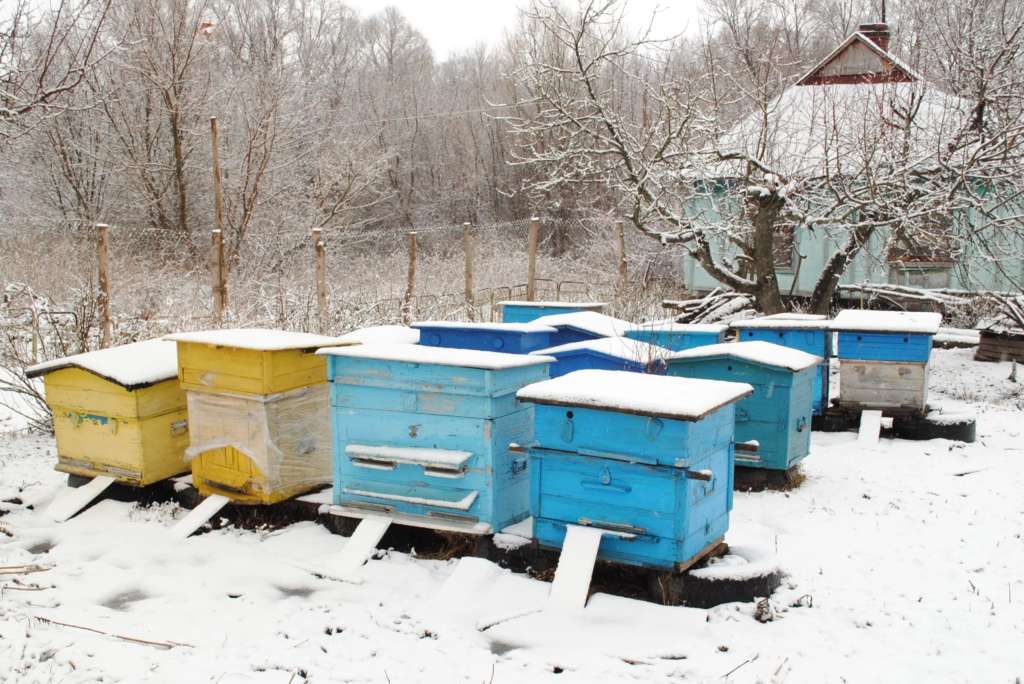 Urticaria en invierno