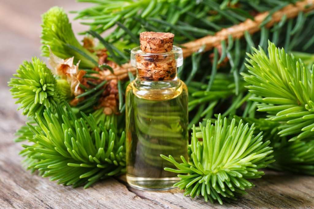 aceite de abeto