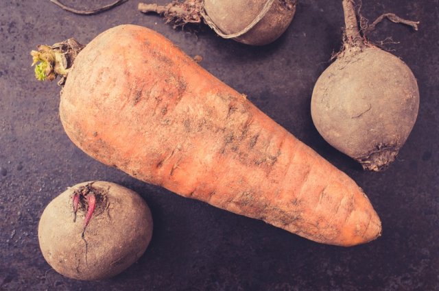 Almacenamiento de una cosecha de verduras, vista superior de zanahoria y remolacha