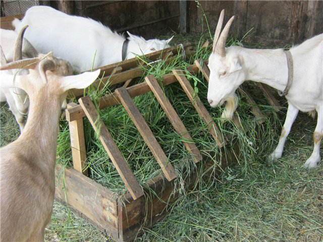 Comedero para cabras