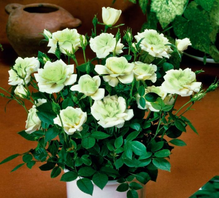 Hielo verde