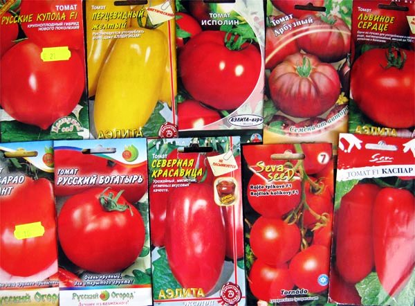Variedades y tipos de tomates aptos para invernaderos