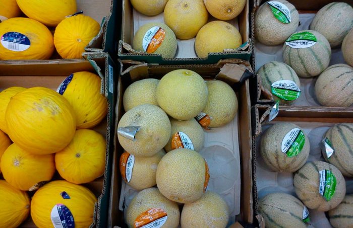 Variedades de melón