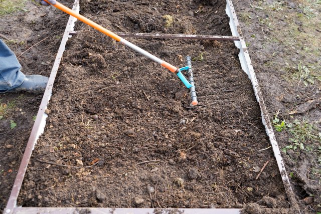 5 secretos para unas zanahorias perfectas
