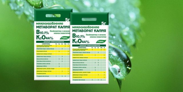 Boro (B): fertilizante para una gran cosecha