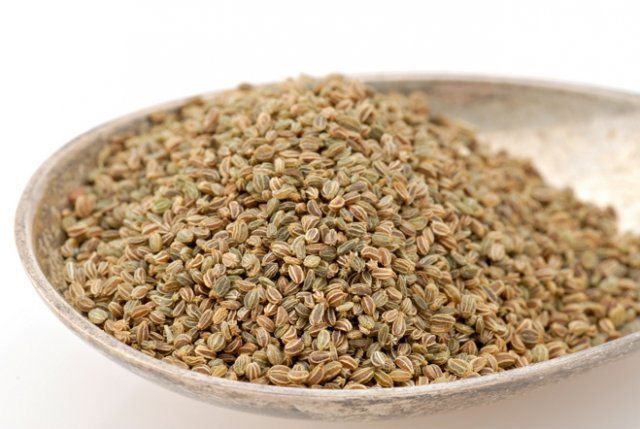 Cómo cultivar apio